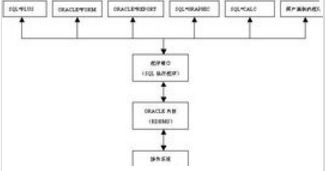 Oracle IF 后可以給多個條件嗎？計算機系統服務解析